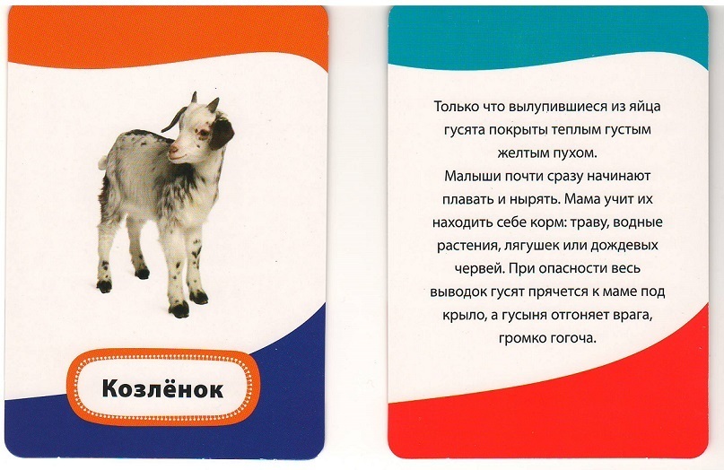 Умные карточки «Мамы и малыши»  
